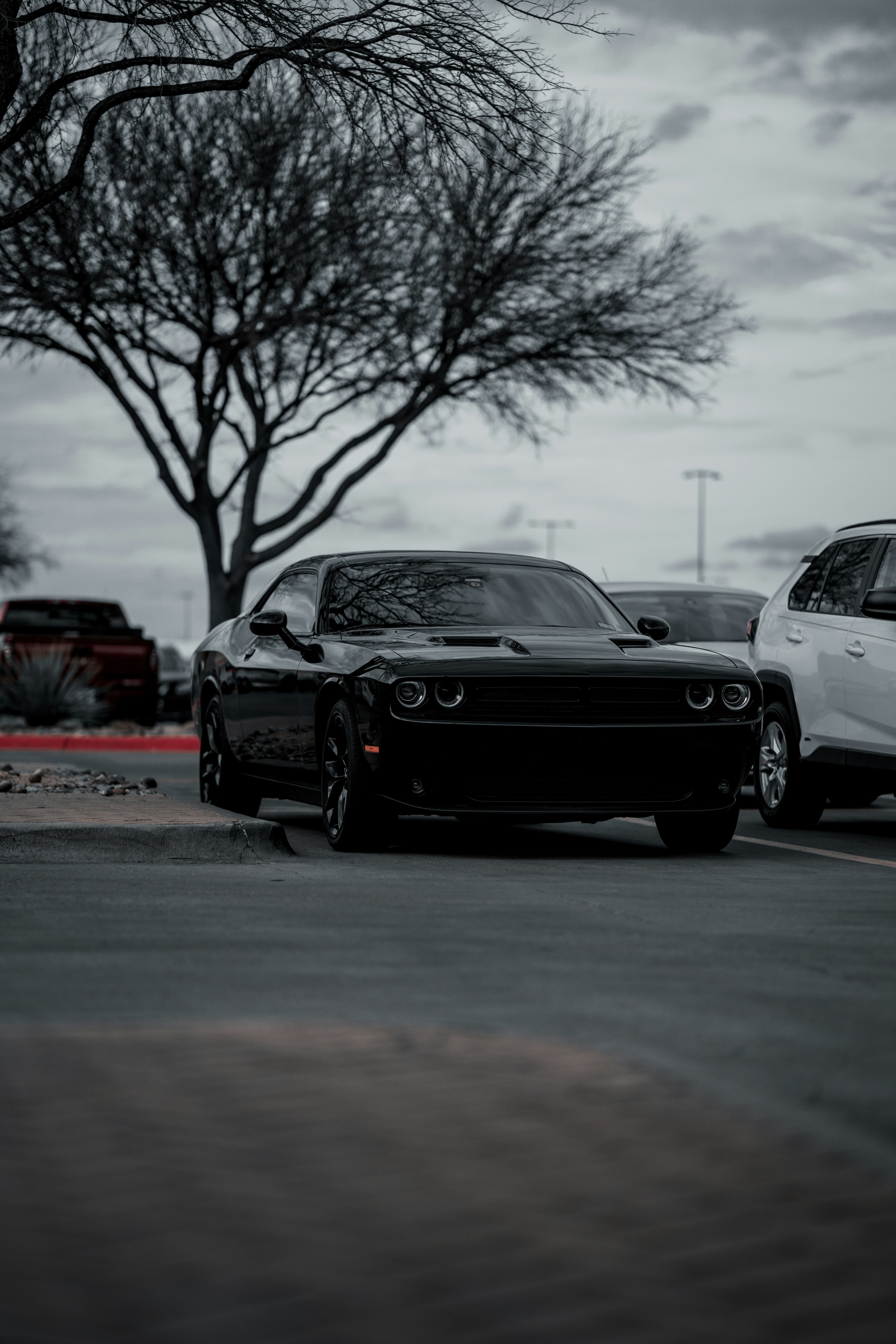 Import Allemagne & Belgique